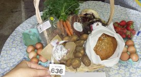 19198258_10213415463603667_265218912_n