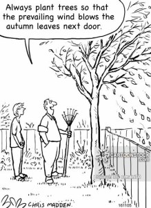 'Always plant trees so that the prevailing wind blows the autumn leaves next door'