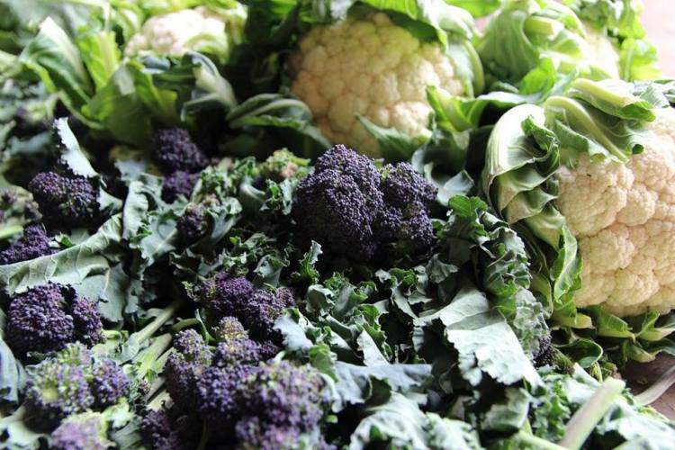 18058022_1188056527987067_2010460722150450355_n